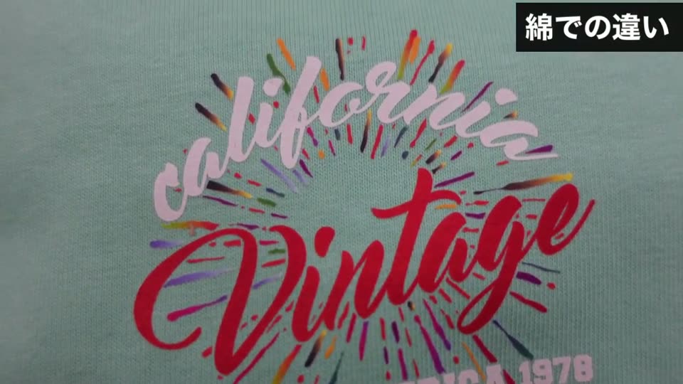FPSで仕上げプレスした綿Tシャツのプリント。イラストと生地の織りが一体になっている
