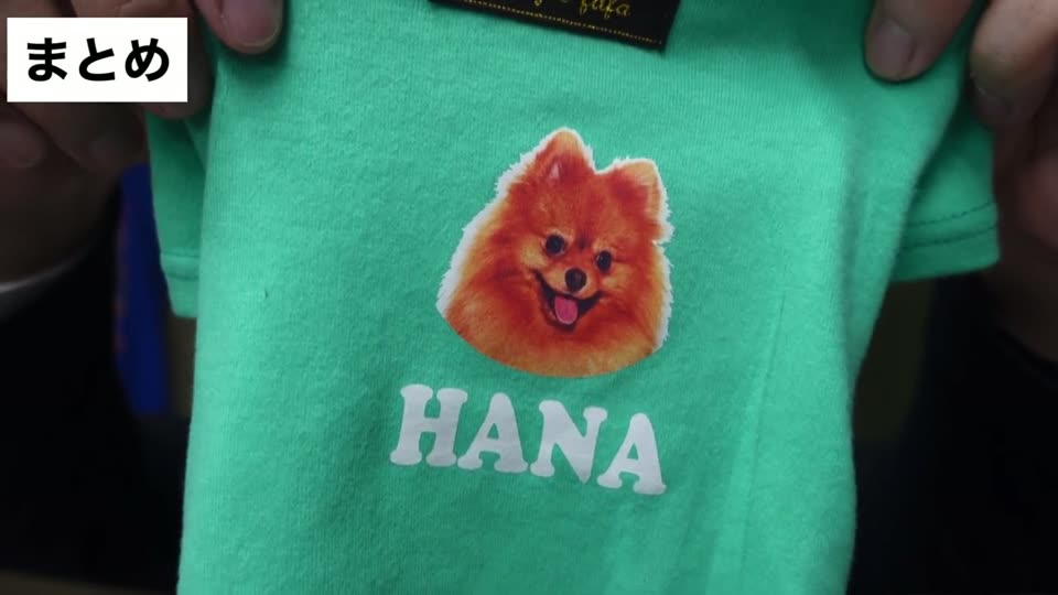 緑のペット服に、ポメラニアンの写真とHANAの名前がプリントされている