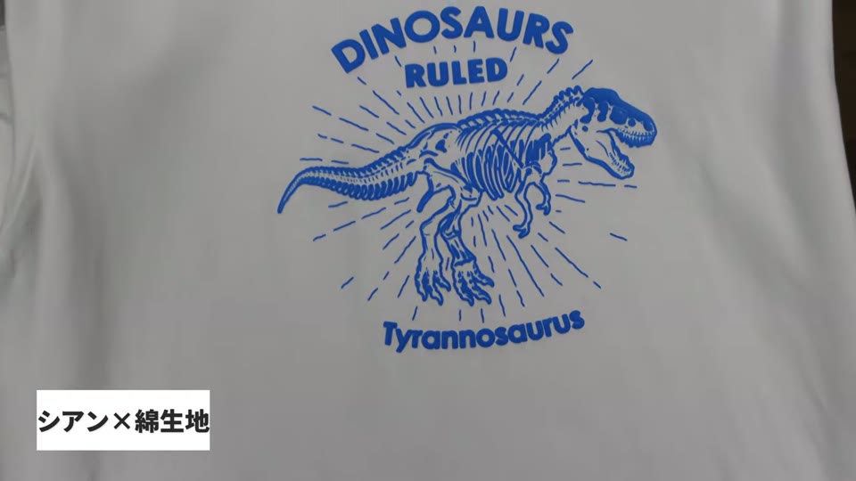 明るいグレーの綿Tシャツに、シアンのぷくぷくプリントで恐竜の骨格と英文字をプリントしたもの