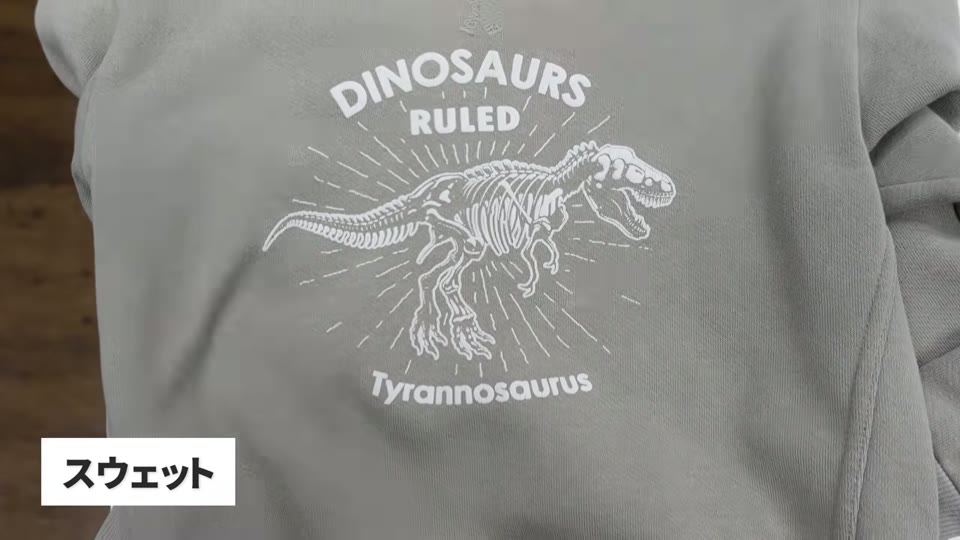 グレーのスウェットに、白のぷくぷくプリントで恐竜の骨格をプリントしたもの